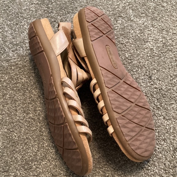 Bare traps - Picture 5 of 8